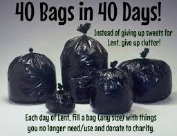 40 bin bags