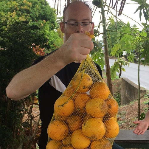 large bag of oranges
