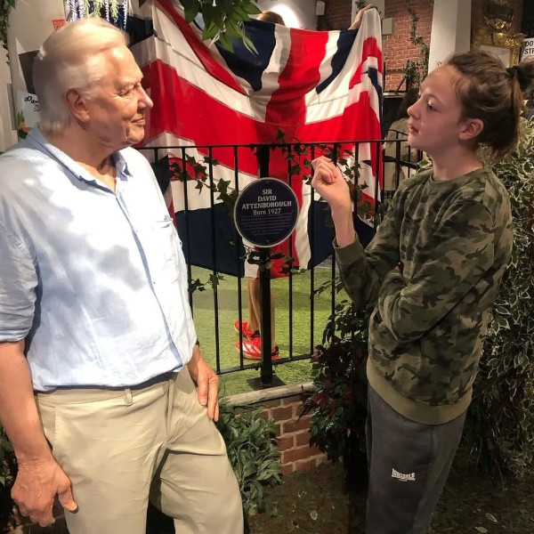 Sustainability Advocate